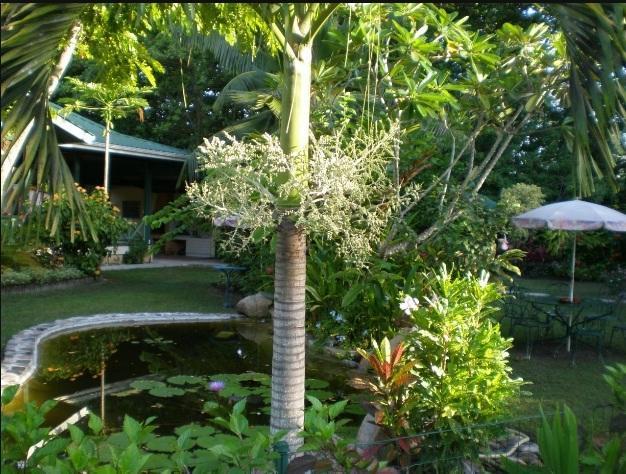 Diguoise Guest House 라디게 외부 사진